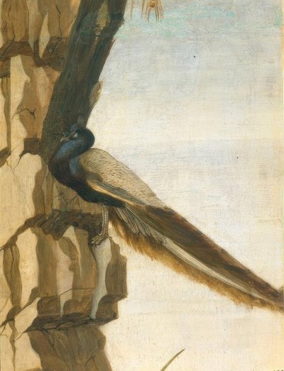 Die Anbetung der Könige von Sandro Botticelli